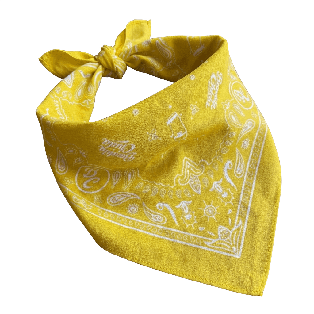 Bandana Bandita